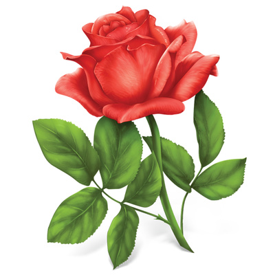 Red Rose Clip Art Free - ClipArt Best