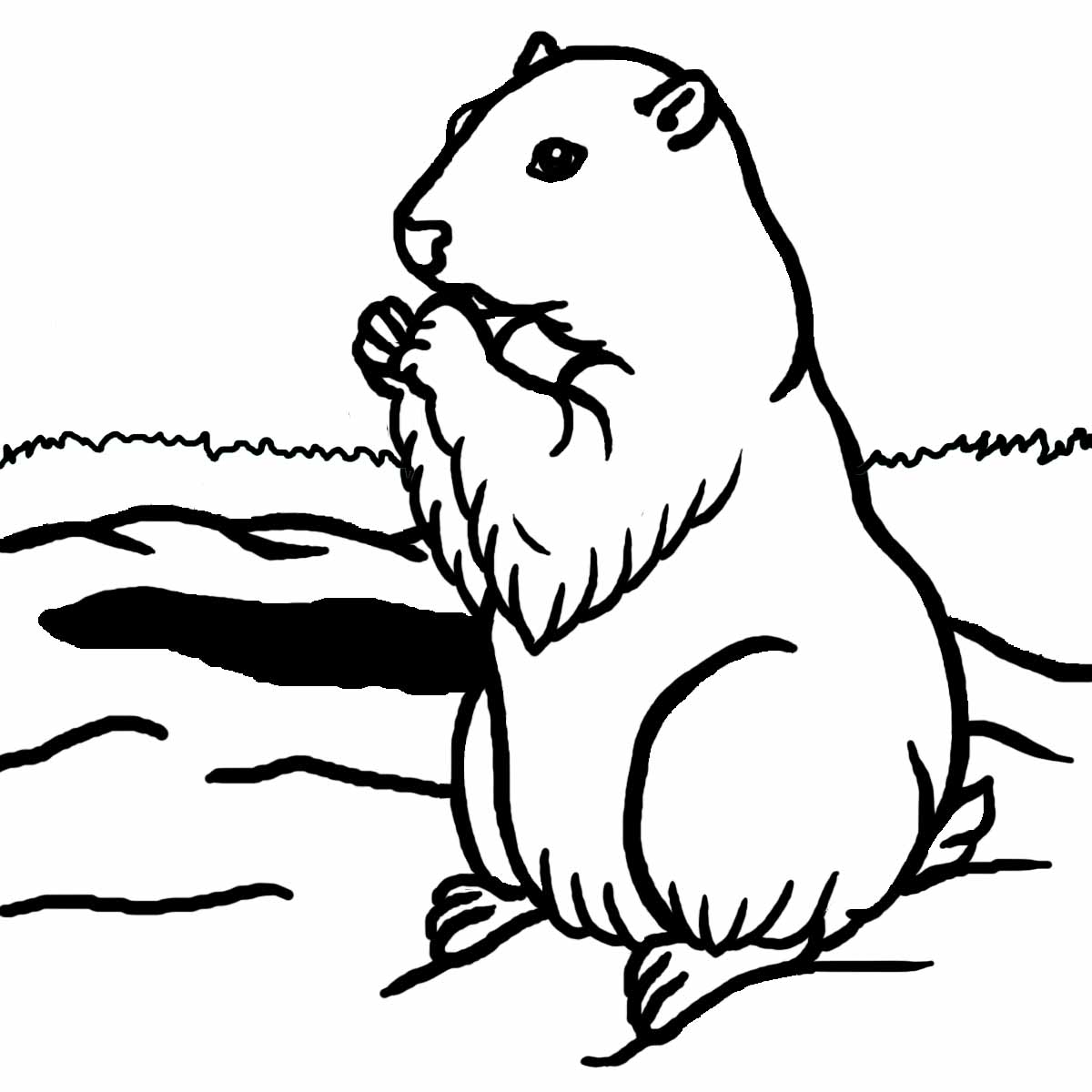Groundhog Shadow Clipart Images & Pictures - Becuo