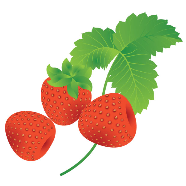 strawberry | Vecto2000.