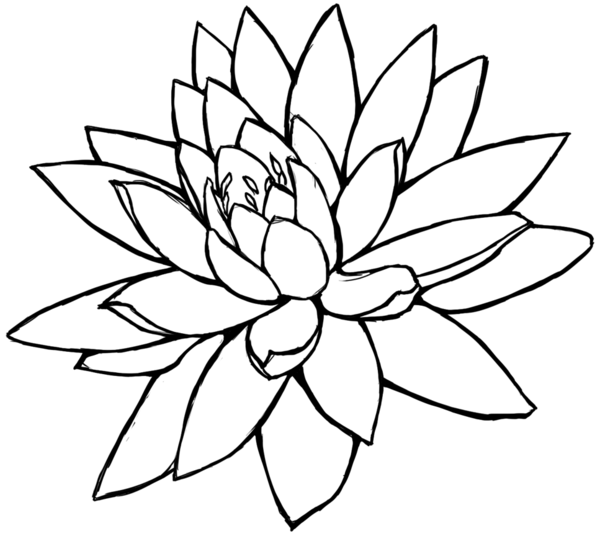 Pencil Design Drawings Flower - ClipArt Best