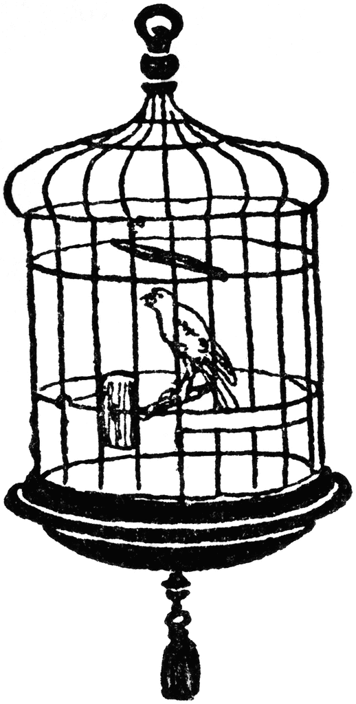 Canary in Cage | ClipArt ETC