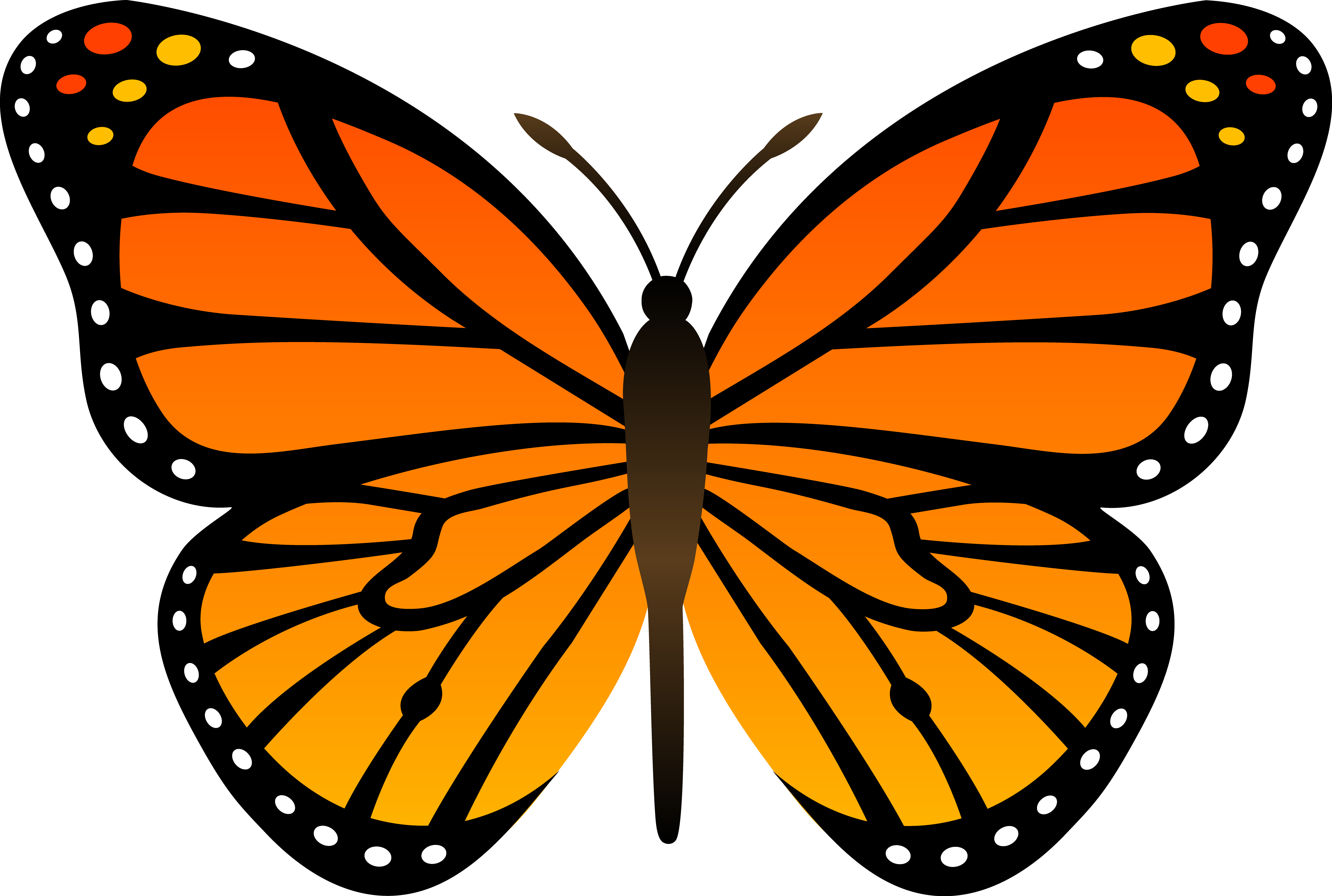 Orange Monarch Butterfly Vector - Free Clip Art