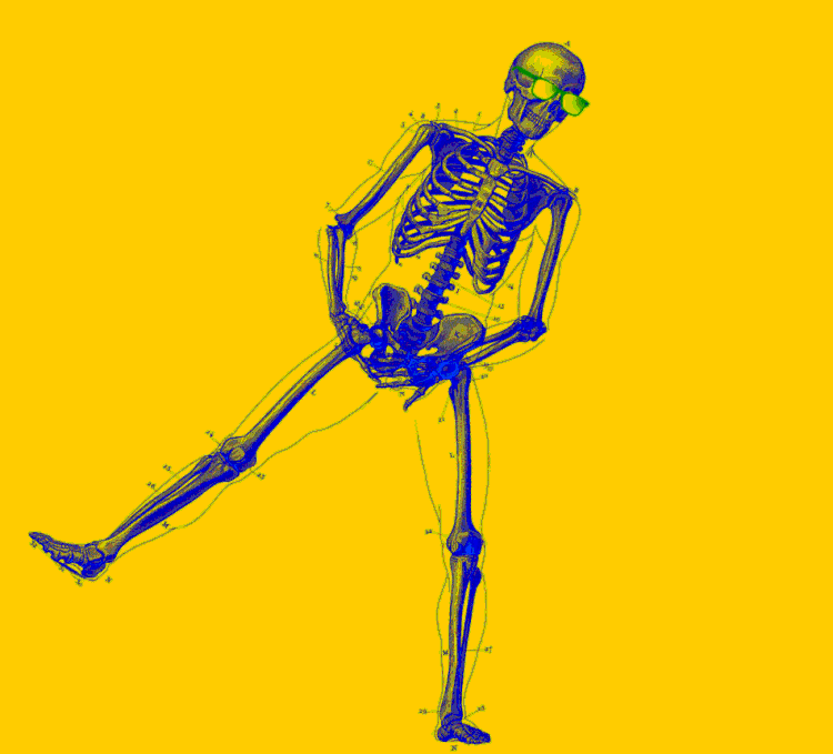 Image - 623898] | Skeletons | Know Your Meme