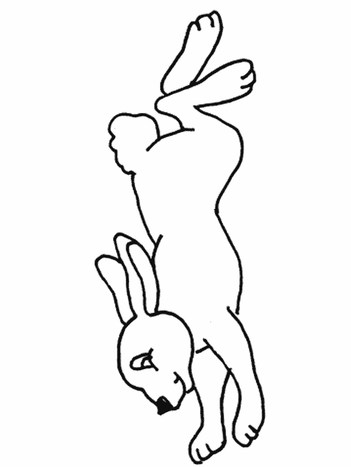 Rabbit Line Art - Cliparts.co