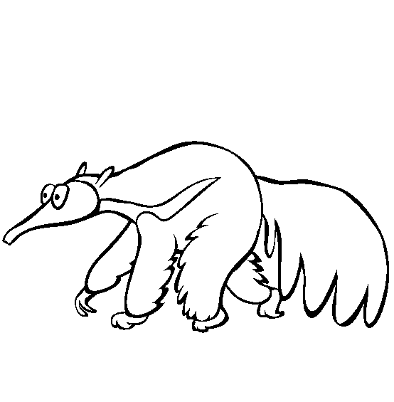 Anteater Coloring Pages Printable