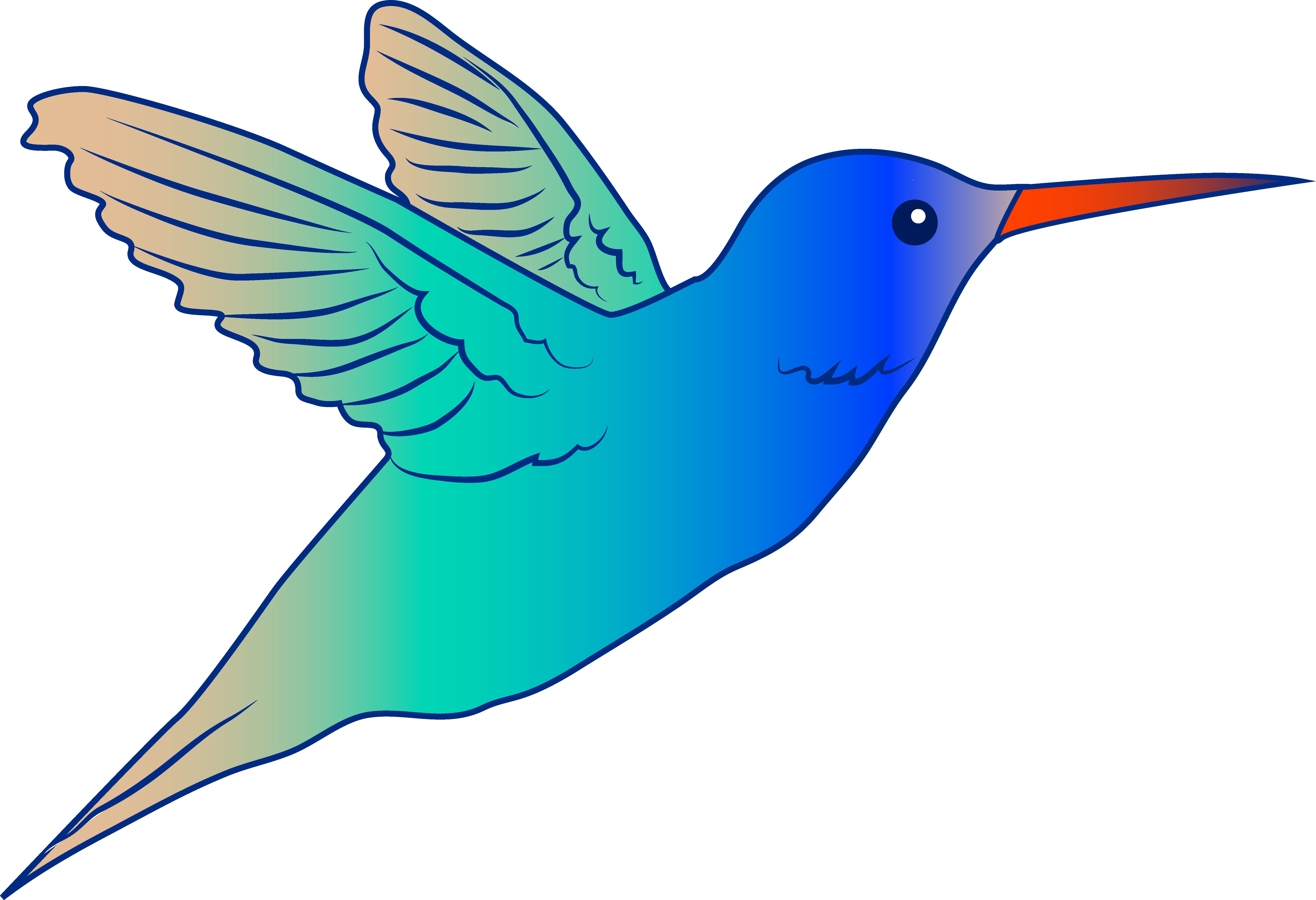 free animated hummingbird clipart - photo #26