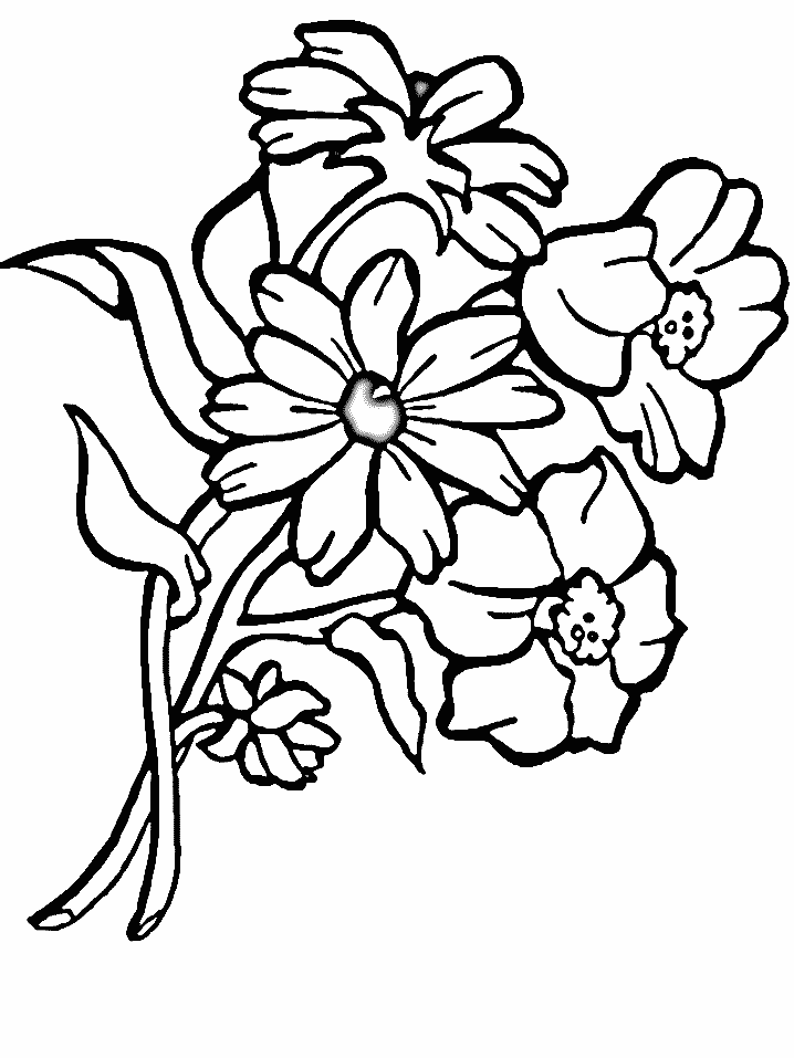 Bouquet Of Flowers Drawing