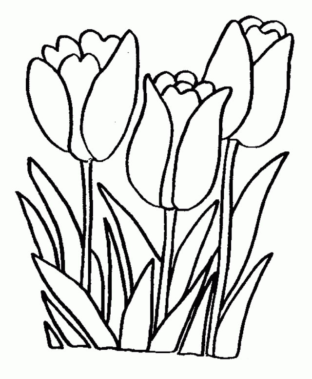 Flowers Coloring Pages Coloringpages1001 160681 Flowers Coloring Page