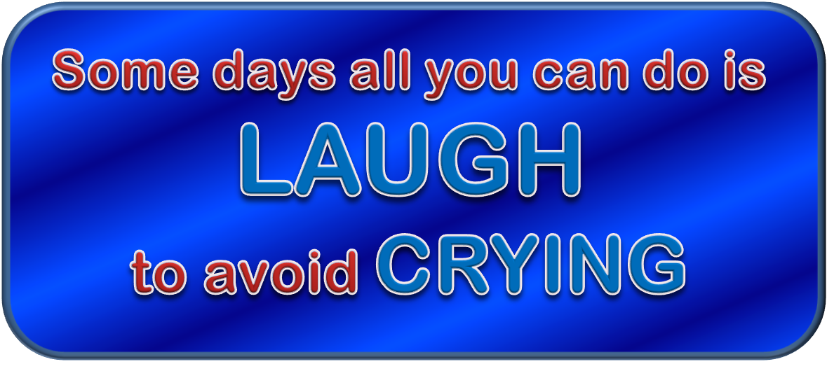 Laugh or Cry? | Laughing at Everyday Life