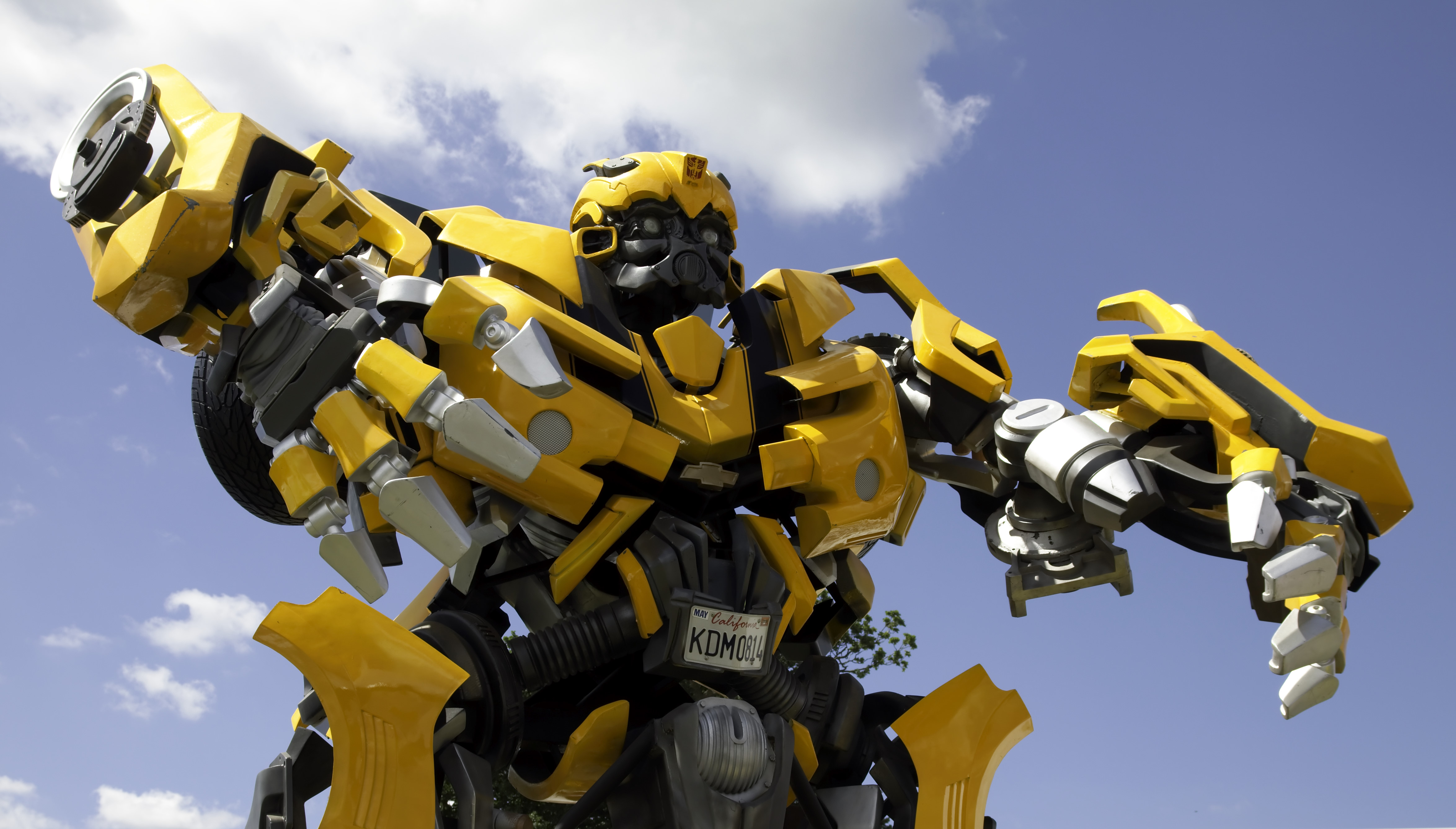 Photos of bumblebee the transformer Photos of bumblebee the transformer