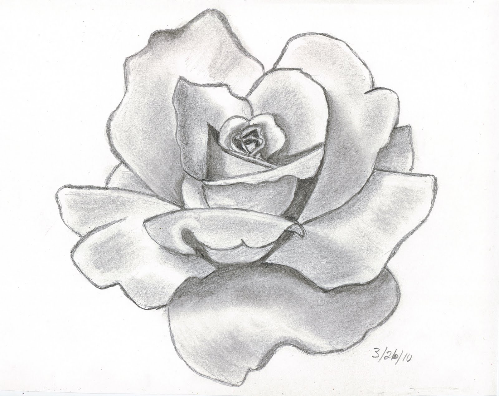 SHOW ME DRAWINGS OF ROSES | Drawing Tips