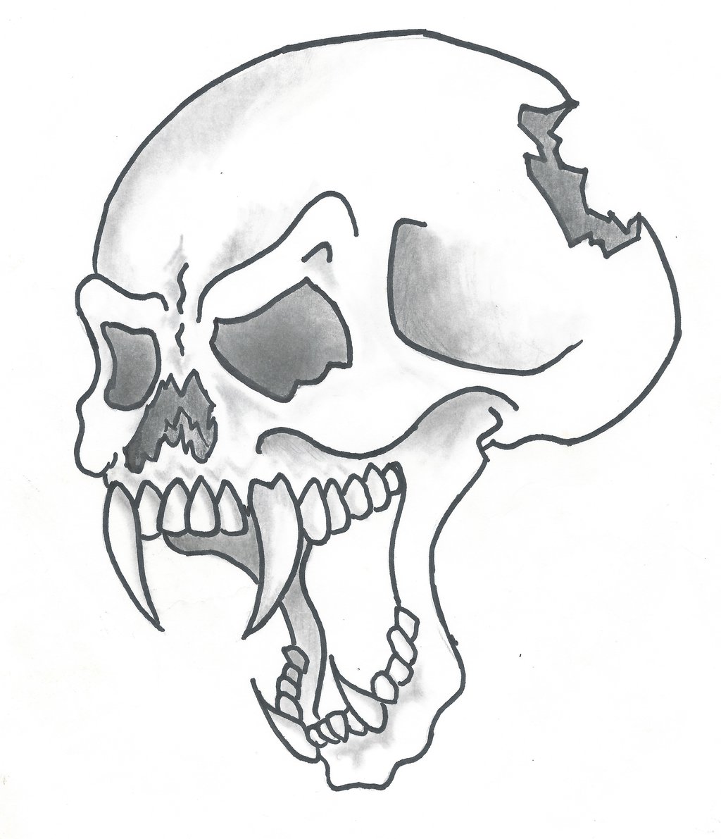 Cool Simple Drawings Of Skulls Pictures - Best HQ images | Best hq ...