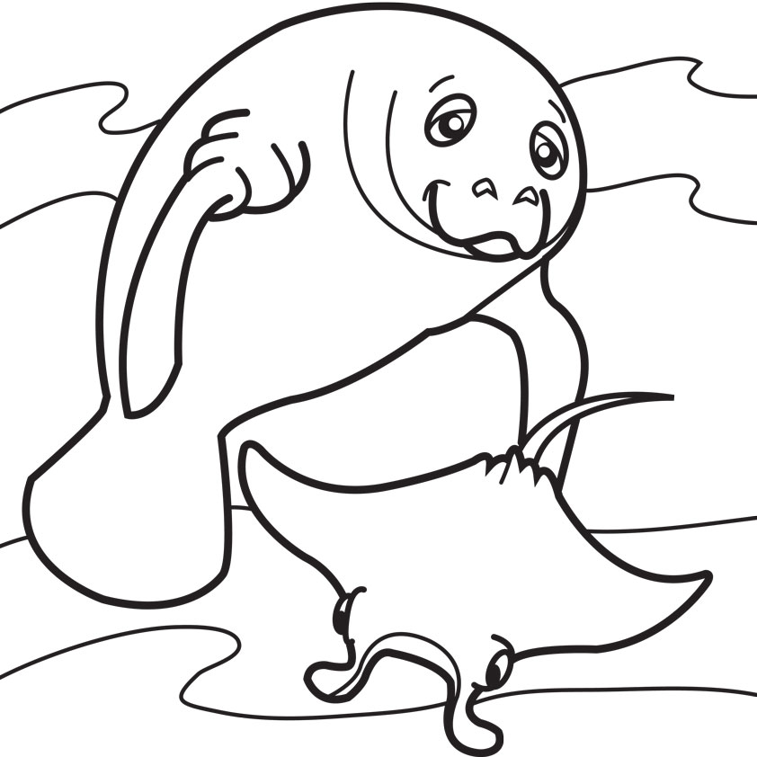 Coloring Cartoon Iguana