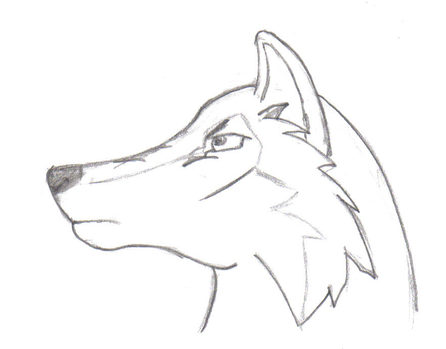 Cartoon Wolf or Husky Stage 1 by ruuwolf on DeviantArt