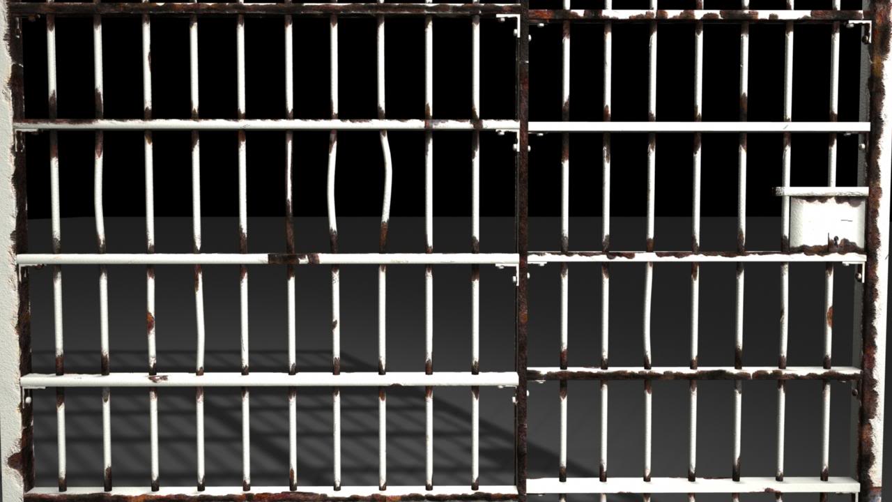 Mora blog: prison bars