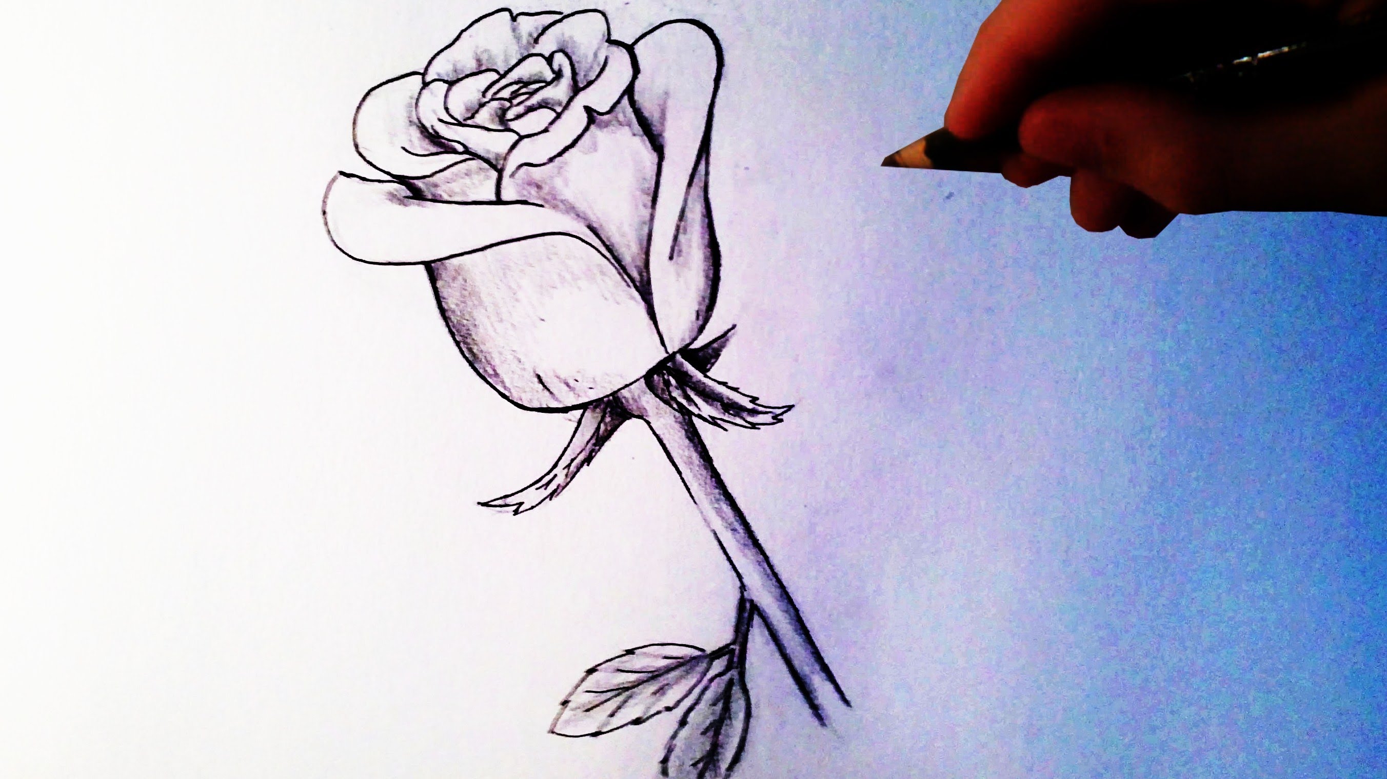 How to Draw a Rose - Easy tutorial - YouTube