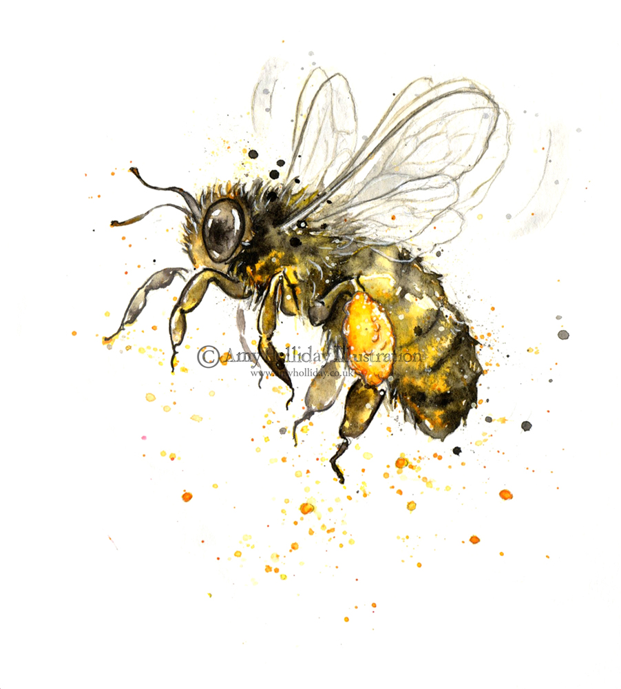 Vintage Honey Bee DrawingGallery of Home Design, And More ...