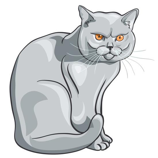Cartoon-cat-vector-design.jpg
