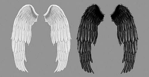 White wings and black wings psd layered material - Others