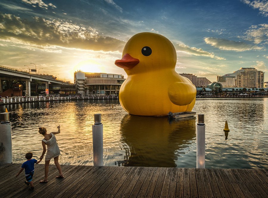 Rubber Duck by Florentijn Hofman | The American Show