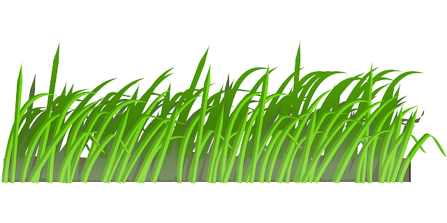 Grass Clipart - ClipArt Best