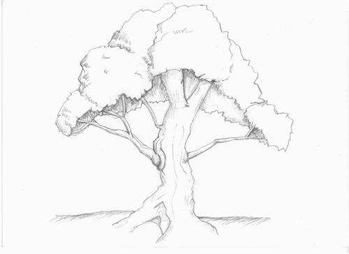 Simple Tree Drawings Step By Step - Gallery