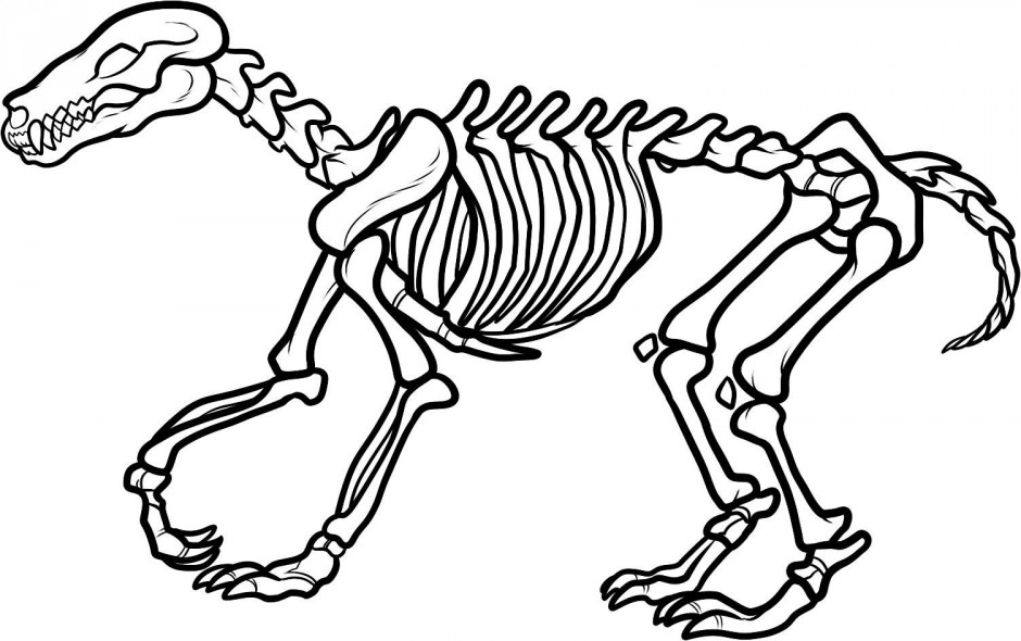 Dinosaur Skeleton Clip Art