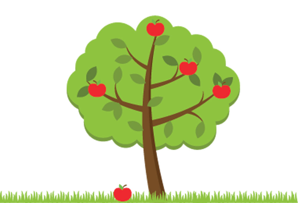 The Apple Didn't Fall Far From The Tree - Fleadh Cheoil 2014