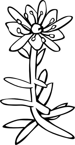 Wild Flower clip art - vector clip art online, royalty free ...
