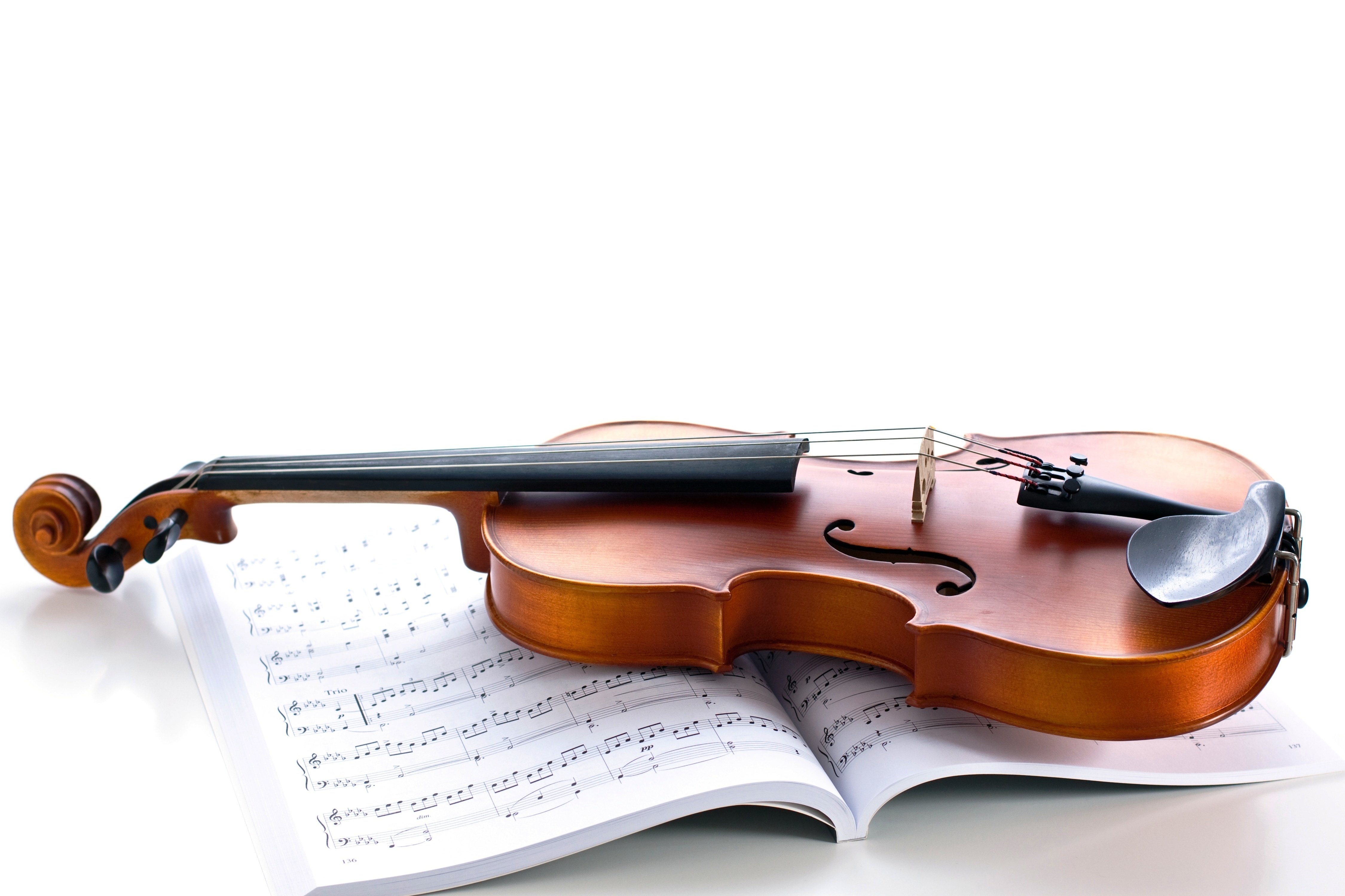 Violin-Musical-Instruments- ...
