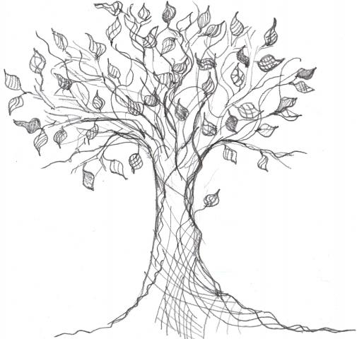 guaymarjusu: dates tree drawings