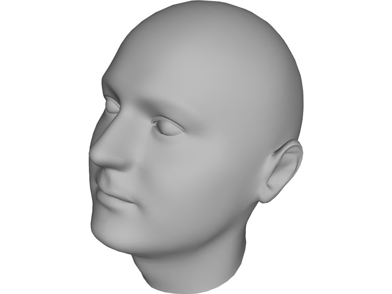 Human Head 3D Model Download | 3D CAD Browser
