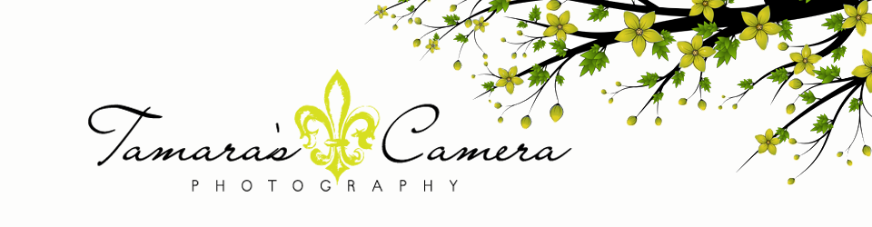 Tamara's Camera Photography » Welcome to our web-site and blog ...