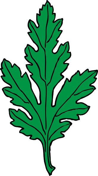 Ivy Leaf Green Chrysanthemum clip art - vector clip art online ...