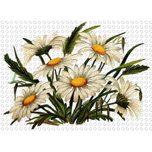 Floral Clip Art Large White Daisy Bouquet Image