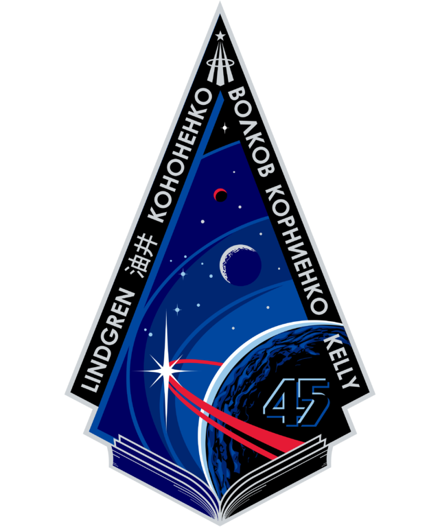 File:ISS Expedition 45 Patch.png - Wikimedia Commons