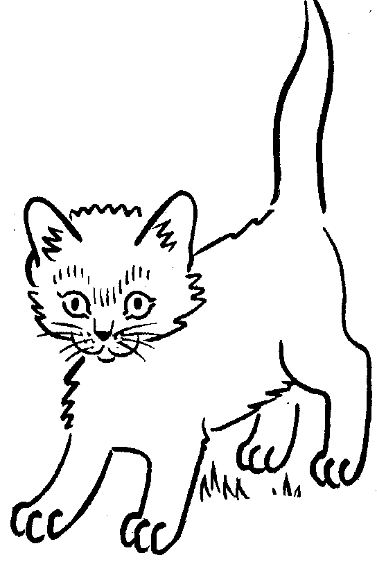 Cute Cat Clipart