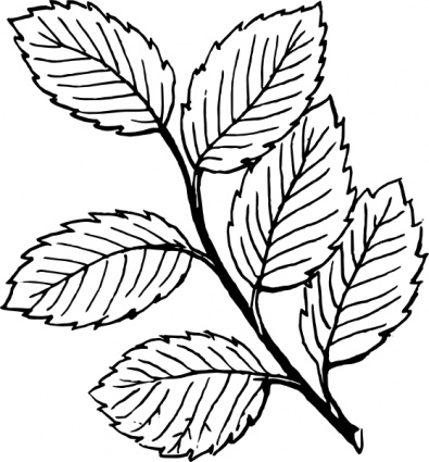 Tree With Leaves Clipart - ClipArt Best - ClipArt Best