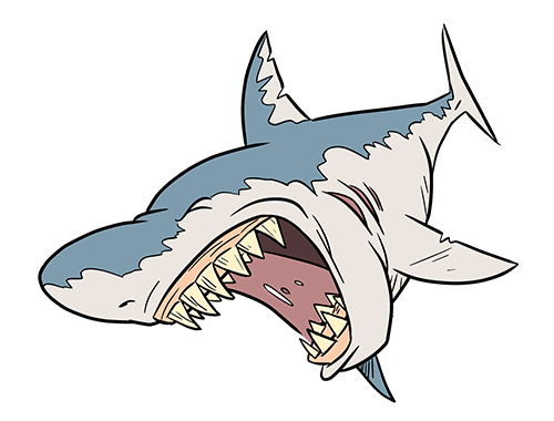 How to Draw a Cartoon Shark Step by Step