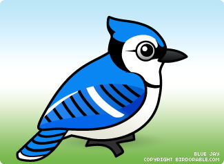 Cartoon Blue Jay - Cliparts.co