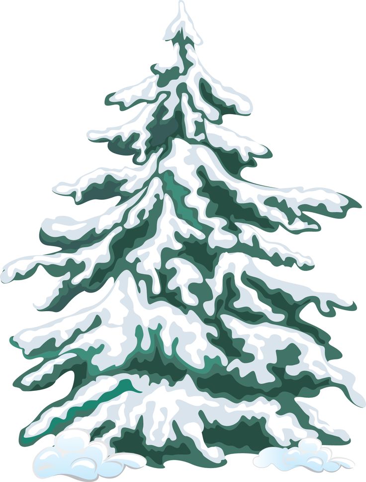 Winter Clip Art | Winter Evergreen Tree | WINTER Clip Art ! | Pintere…