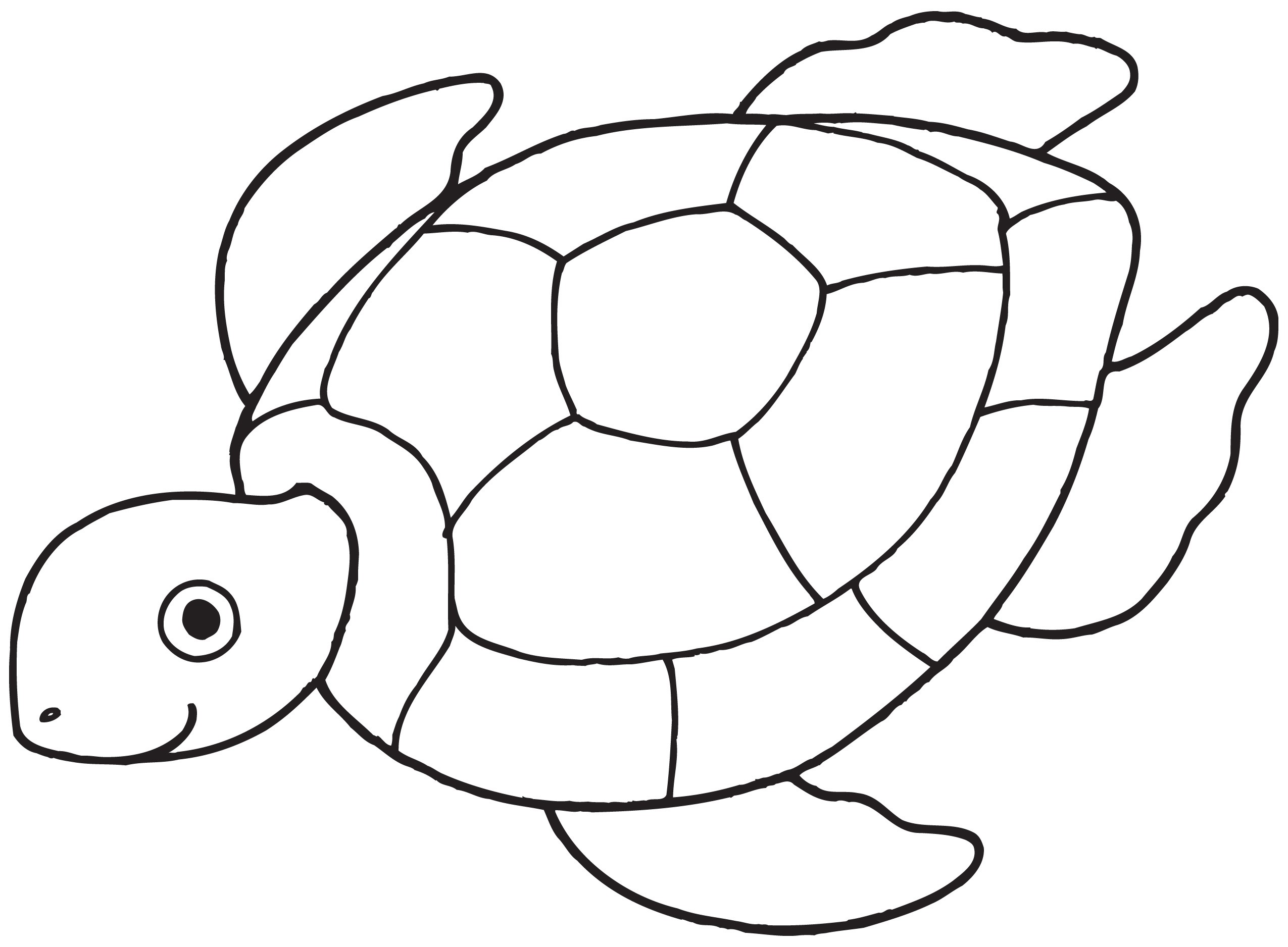 Free Turtle Clip Art - ClipArt Best