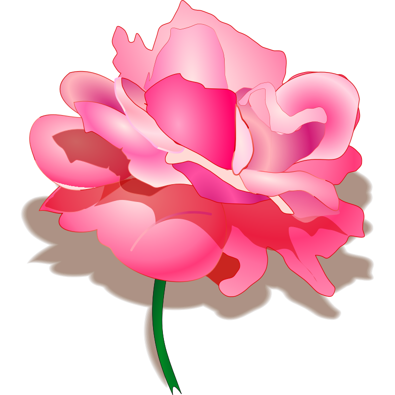 Clipart - rose
