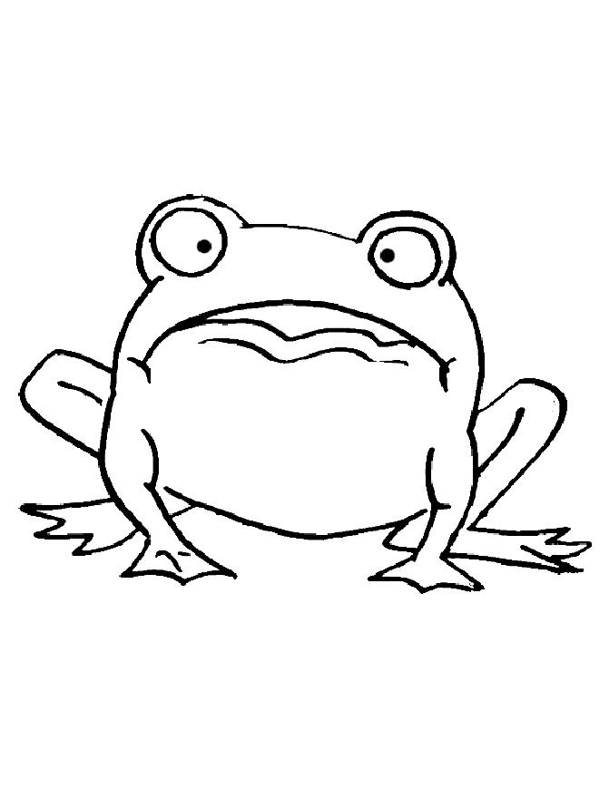 Frog | Coloring