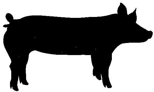 show pig clip art free - photo #50