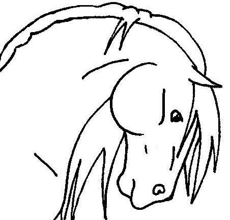 Horse head lineart 2 by KalahariRose on deviantART