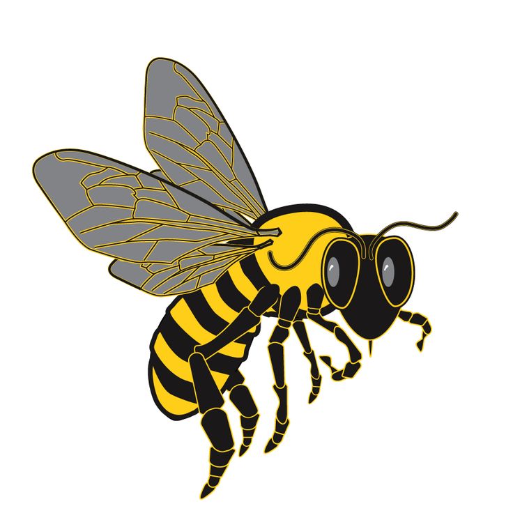 clipart bee sting - photo #47