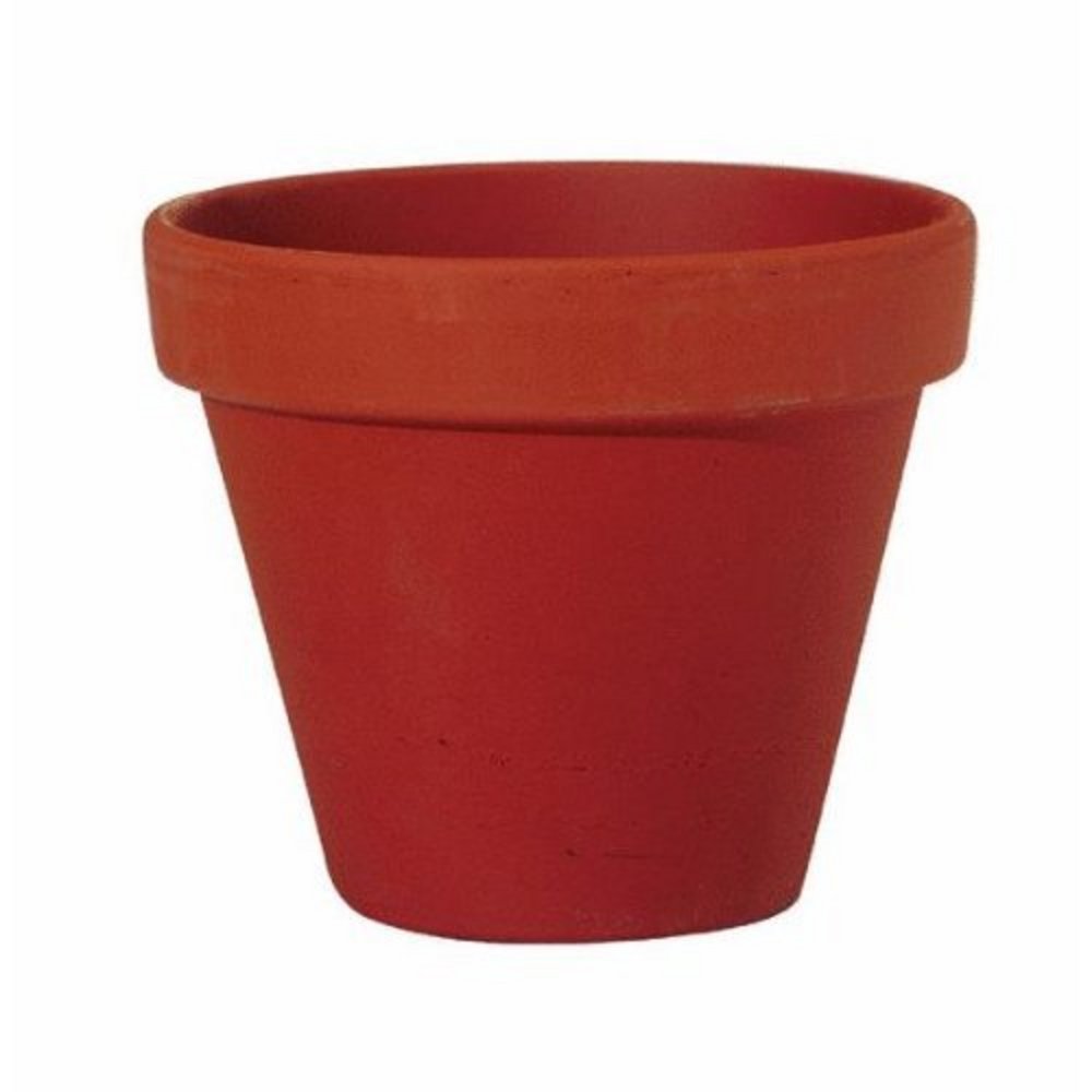 Home | Flower Pots Gallery