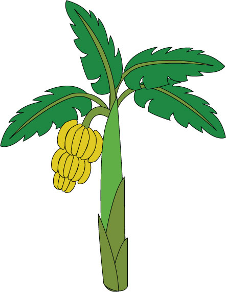 Banana Tree Vector - Cliparts.co