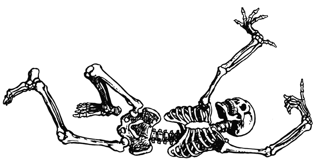 Dancing Skeleton Clipart Images & Pictures - Becuo